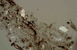 Nitrate and Gypsum Salts