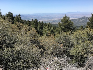 Southern California Chaparral
