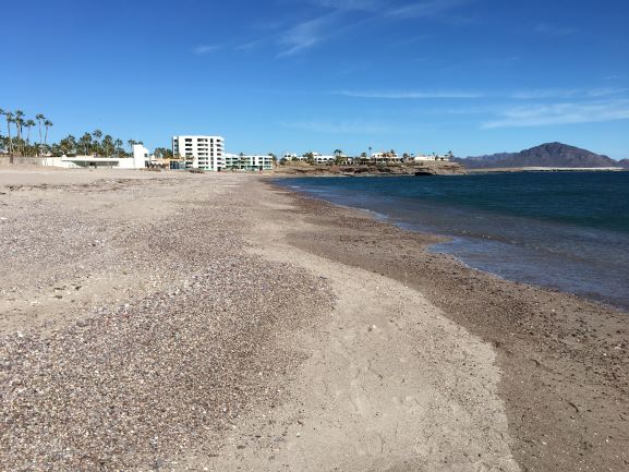 Beach Sand From San Carlos, Mexico, Sea of Cortez