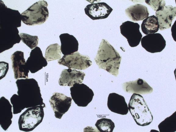Beach Sand From San Carlos, Mexico, Sea of Cortez