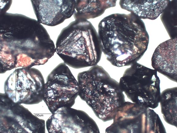 Beach Sand From San Carlos, Mexico, Sea of Cortez