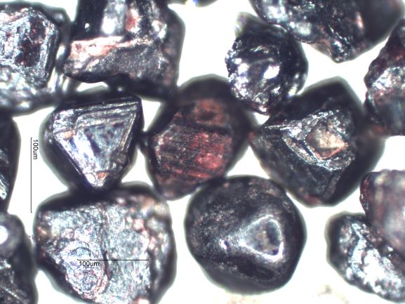 Beach Sand From San Carlos, Mexico, Sea of Cortez