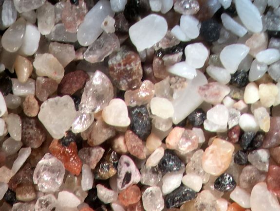 Beach Sand From San Carlos, Mexico, Sea of Cortez