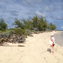 Beach Sand From Grand Turk, Caribean Sea