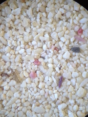 Beach Sand From Grand Turk, Caribean Sea