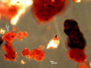 Sand from Kununurra, Australia