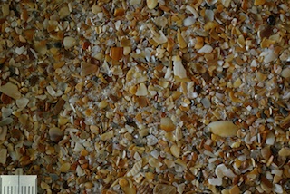 Ponte Verdra Beach, Florida