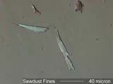 Sawdust
