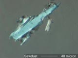 Sawdust