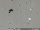Sodium Chloride Marine Aerosol