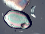 Zircon