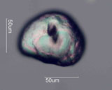 Zircon