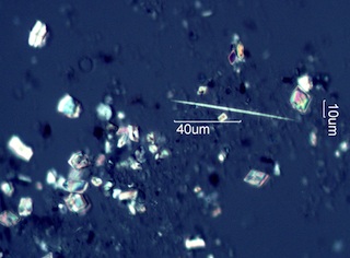 Calcium Oxalate Phytoliths from the Leaves of Amelanchier alnifolia