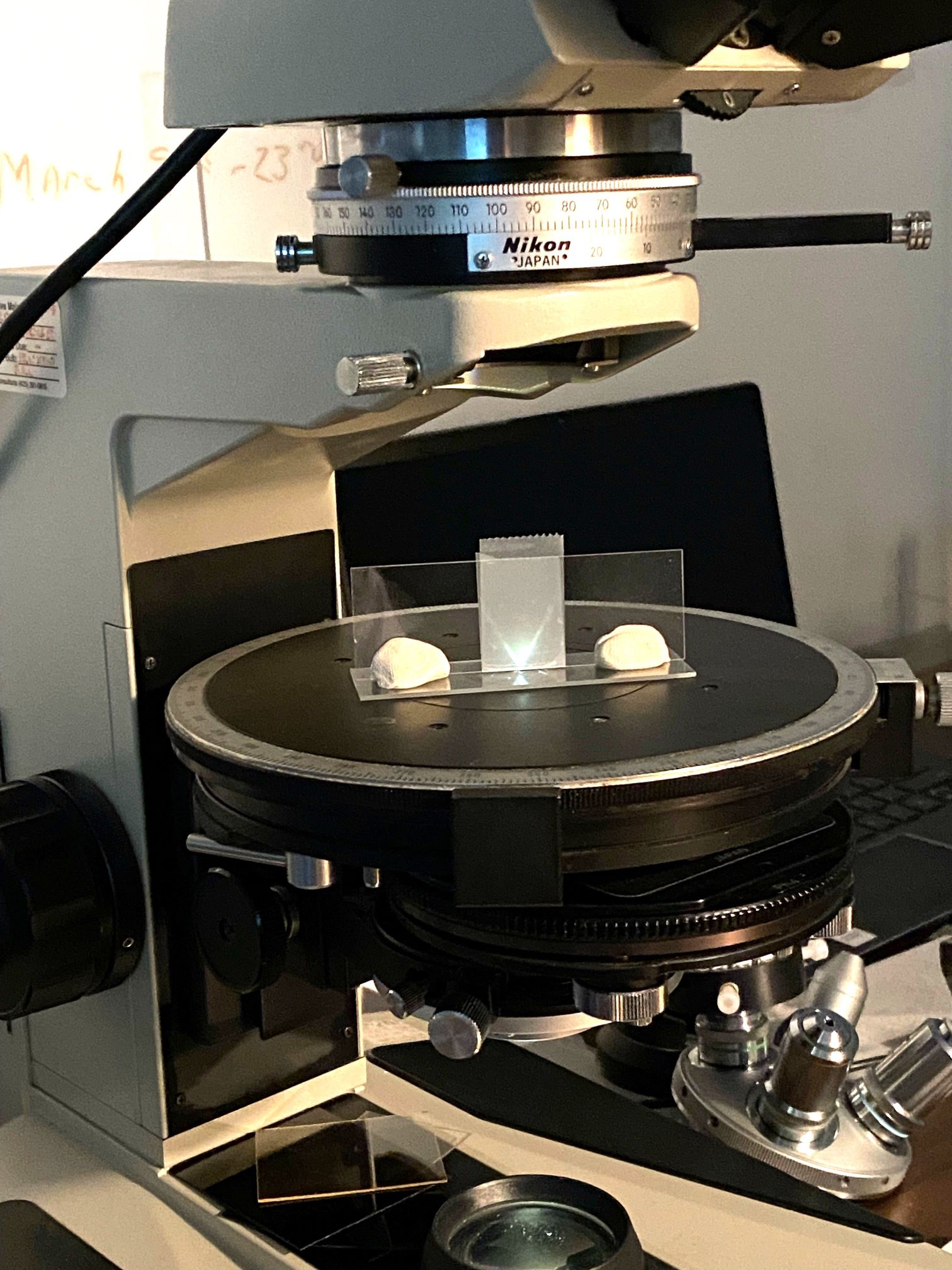 Environmental Light Microscope