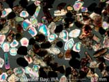 Shoalwater Bay, Washington Coast