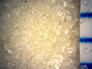 Beach Sand From Siesta Key, Sarasota, Florida