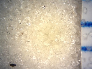 Beach Sand From Siesta Key, Sarasota, Florida