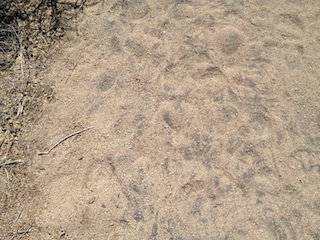 Skull Rock Trail Black Sand