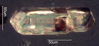 Skull Rock Trail Zircon