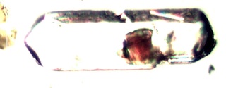 Skull Rock Trail Zircon
