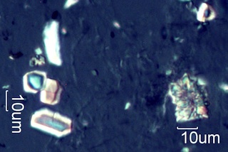 Calcium Oxalate from Snowberry (Symphoricarpus albus) Leaves
