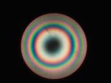 Uniaxial Interference Figure, Circular Polarizers