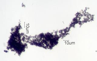 Dry Agglomerated Soot
