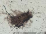 Soot From Industrial Fire