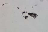 Soot Candle
