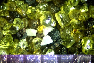 Olivine