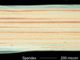 GLOSPAN Spandex