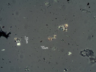 Spruce Bark Ash
