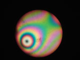 Biaxial Interference Figure
