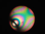 Biaxial Interference Figure