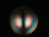 Biaxial Interference Figure