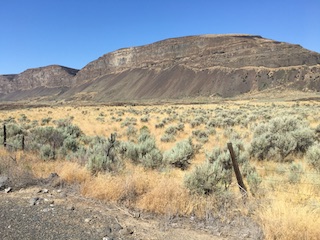 Washington Grassland Steppe