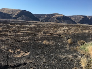 Sutherland Canyon Fire