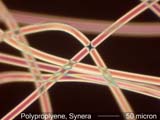 Synera