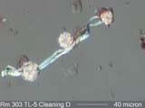 TL5 Rm303 Cleaning Debris