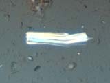 Fibrous Talc
