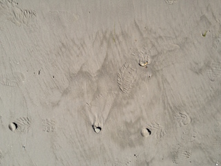 Tallinn, Estonia Beach Sand