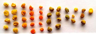 Bee Pollen