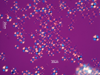 Tapioca Starch Under the Microscope