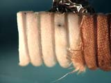 Electro-static Discharge Scar