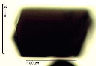 Tourmaline Pleochroism
