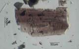 Tourmaline