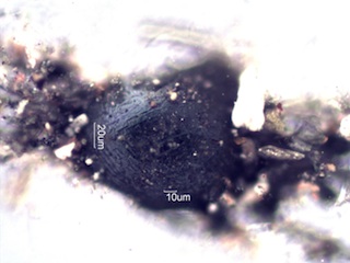 Weld Slag, Magnetite Blister