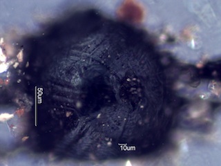 Weld Slag, Magnetite Blister