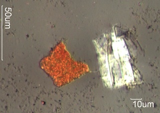 Degraded Paper and Limonite