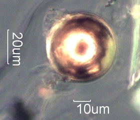 Copper Arc Sphere